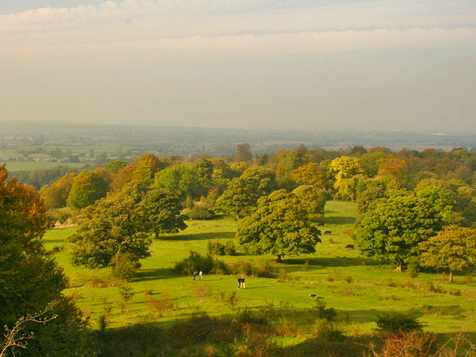 Chequers Knapp